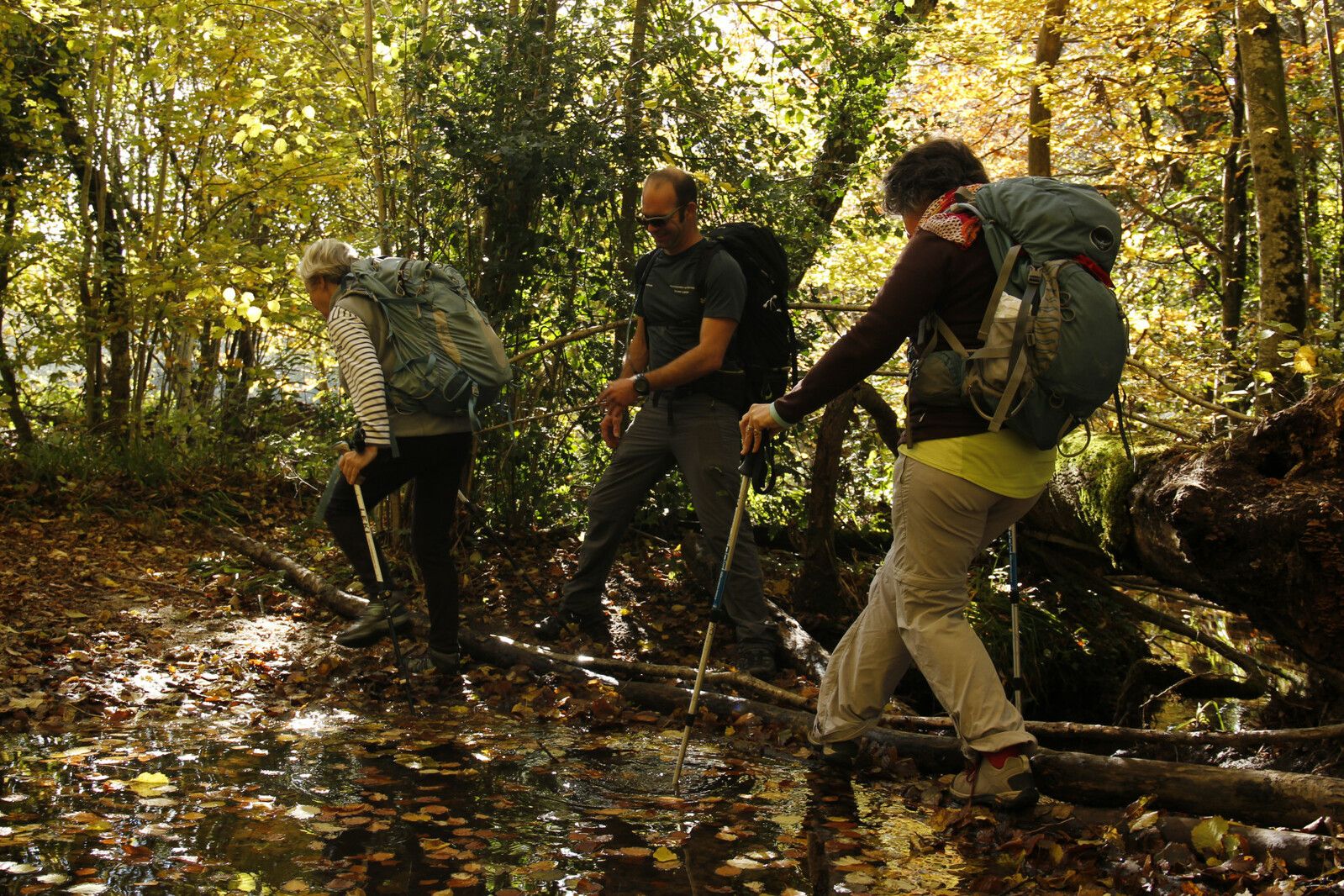 Randonneurs accompagnés le long de la rigole de la Montagne, en forêt d’automne