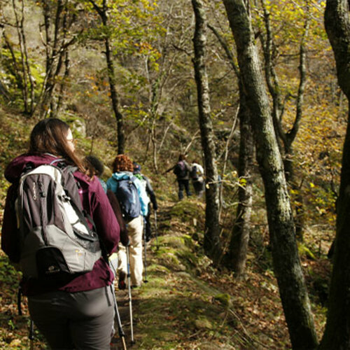 Les trésors du Caroux-Espinouse et les secrets de Cebenna